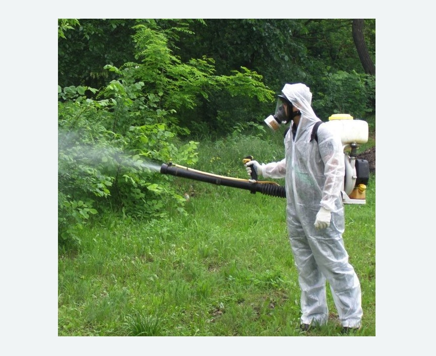 обработка территории от клещей в Бабушкинском районе Москвы