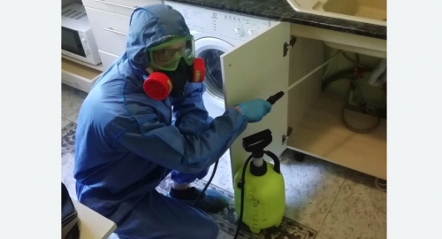 Уничтожение муравьев в квартире. Бабушкинский район