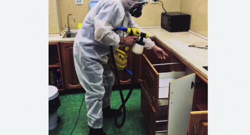 Уничтожение насекомых в квартире. Бабушкинский район