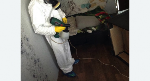 Обработка квартир от насекомых в Бабушкинском районе Москвы