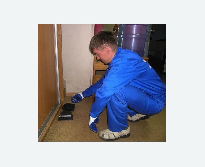 Дератизация крыс в Бабушкинском районе Москвы