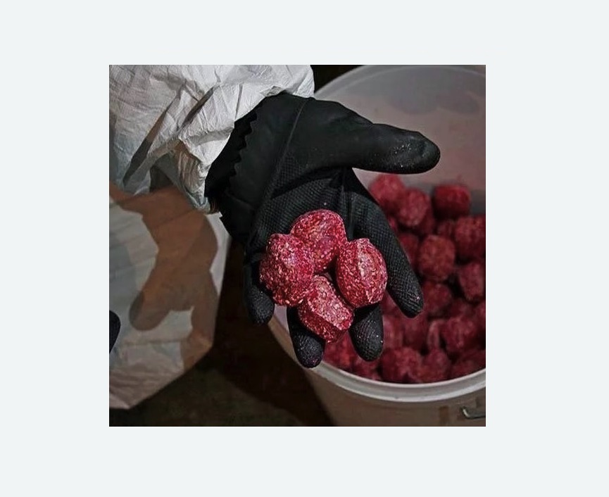 Обработка от крыс в Бабушкинском районе Москвы