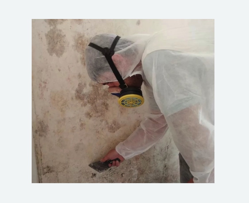 Обработка стен от плесени в Бабушкинском районе Москвы