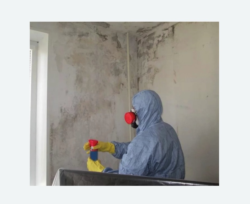 Удаление плесени в квартире в Бабушкинском районе Москвы