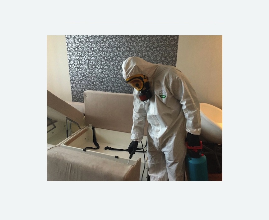 уничтожение клопов в квартире в Бабушкинском районе Москвы