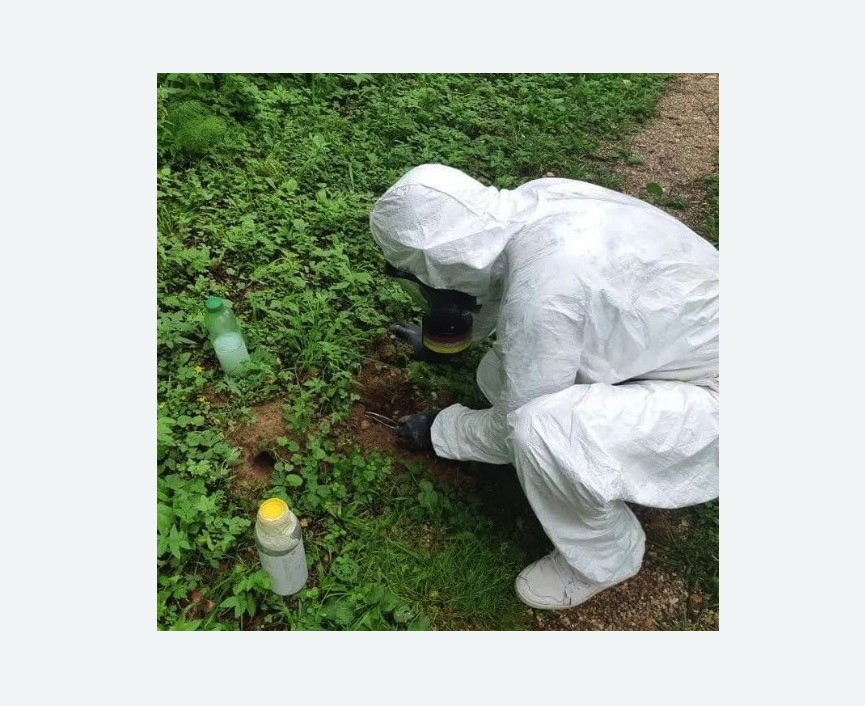 уничтожение кротов на участке в Бабушкинском районе Москвы