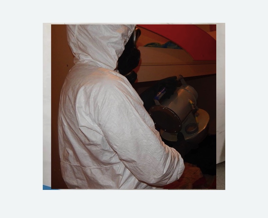 Дезинфекция от муравьев в Бабушкинском районе Москвы